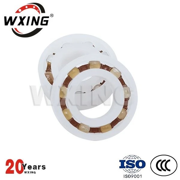 No Rust Lightweight POM Plastic Ball Bearing 6000 Series